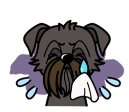 iinu - Affenpinscher sticker #12627680
