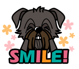 iinu - Affenpinscher sticker #12627684