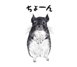 Emotional Chinchilla sticker #12627739