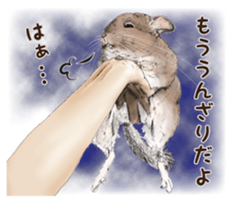 Emotional Chinchilla sticker #12627745