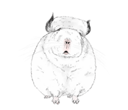 Emotional Chinchilla sticker #12627762