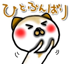 Calico cat dumpling sticker #12628326