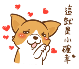 Corgi Dog Kaka - Good Friends vol. 2 sticker #12629503