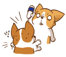 Corgi Dog Kaka - Good Friends vol. 2 sticker #12629537