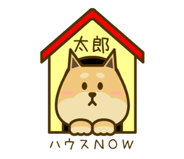 Taro's sticker of sticker #12630962