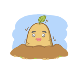 Popo tato + sticker #12631056