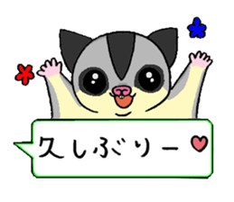A balloon of sugar glider 2 sticker #12634798