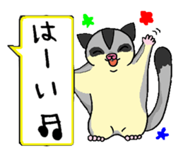 A balloon of sugar glider 2 sticker #12634800