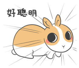 Dodo is coming! sticker #12635055