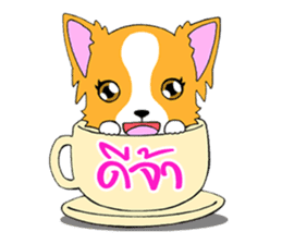 Chihuahua Kaao nieow & Moo bping sticker #12635598