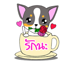 Chihuahua Kaao nieow & Moo bping sticker #12635600