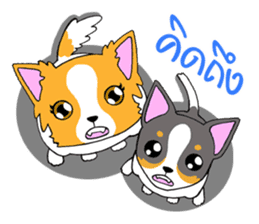 Chihuahua Kaao nieow & Moo bping sticker #12635601