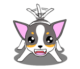 Chihuahua Kaao nieow & Moo bping sticker #12635602