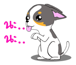 Chihuahua Kaao nieow & Moo bping sticker #12635605