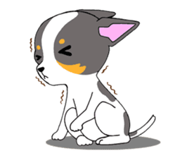 Chihuahua Kaao nieow & Moo bping sticker #12635607