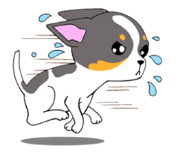 Chihuahua Kaao nieow & Moo bping sticker #12635608