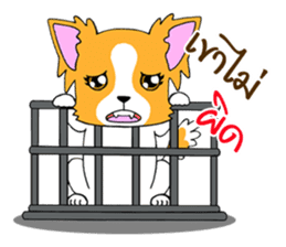 Chihuahua Kaao nieow & Moo bping sticker #12635610