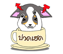 Chihuahua Kaao nieow & Moo bping sticker #12635616