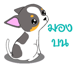 Chihuahua Kaao nieow & Moo bping sticker #12635618
