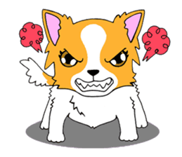Chihuahua Kaao nieow & Moo bping sticker #12635620