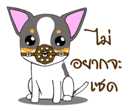Chihuahua Kaao nieow & Moo bping sticker #12635622