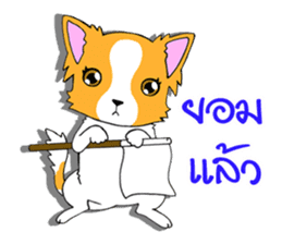 Chihuahua Kaao nieow & Moo bping sticker #12635623