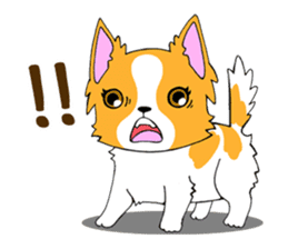 Chihuahua Kaao nieow & Moo bping sticker #12635624
