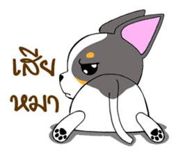 Chihuahua Kaao nieow & Moo bping sticker #12635627
