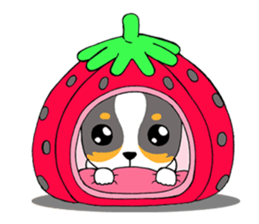 Chihuahua Kaao nieow & Moo bping sticker #12635629