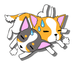 Chihuahua Kaao nieow & Moo bping sticker #12635630