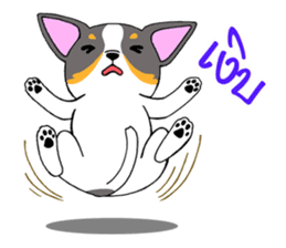 Chihuahua Kaao nieow & Moo bping sticker #12635634