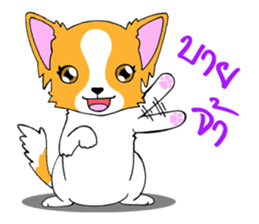 Chihuahua Kaao nieow & Moo bping sticker #12635636