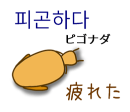 Korean dog sticker #12636964