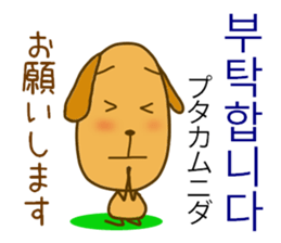 Korean dog sticker #12636979