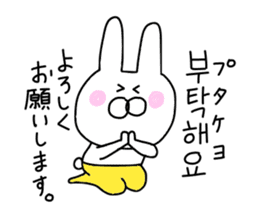 Korean rabbit.... sticker #12637505