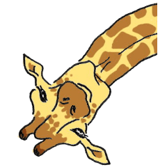 Giraffe Panay