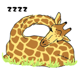 Giraffe Panay sticker #12639049