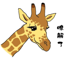 Giraffe Panay sticker #12639050
