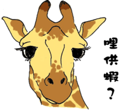 Giraffe Panay sticker #12639052
