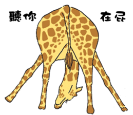 Giraffe Panay sticker #12639066