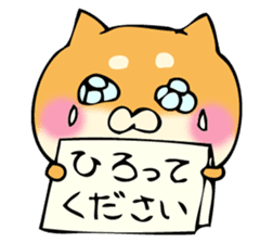 Shiba dog answers 2. sticker #12642512