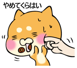 Shiba dog answers 2. sticker #12642515