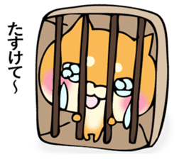 Shiba dog answers 2. sticker #12642519