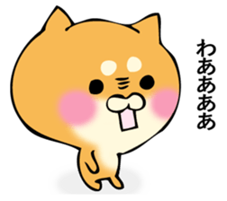 Shiba dog answers 2. sticker #12642541