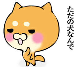 Shiba dog answers 2. sticker #12642546