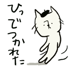 Beret cat in Fukui sticker #12645142