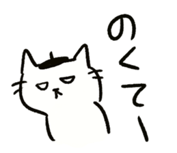 Beret cat in Fukui sticker #12645146