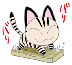 Salami cat sticker #12647536