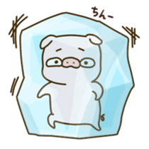 pig Buddang sticker #12648980