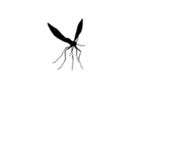 Single pretty and the mosquito sticker #12649293